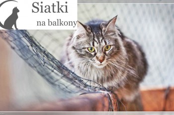 Kot - Ceny za siatki ochronne